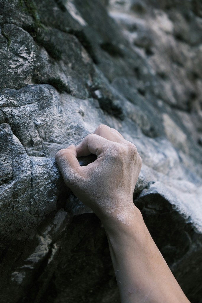 Photo by sehoon ye on Unsplash